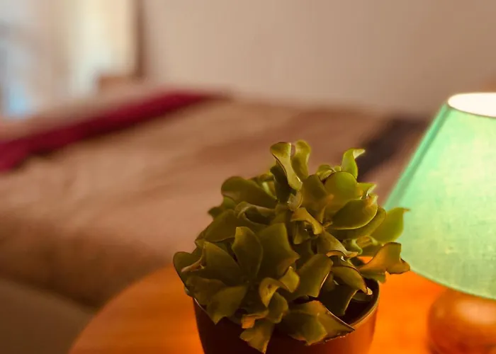 La Casa Di Monteverde